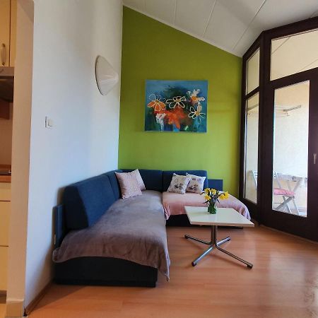 Janja Apartment Novigrad Istria المظهر الخارجي الصورة