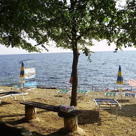 Janja Apartment Novigrad Istria المظهر الخارجي الصورة