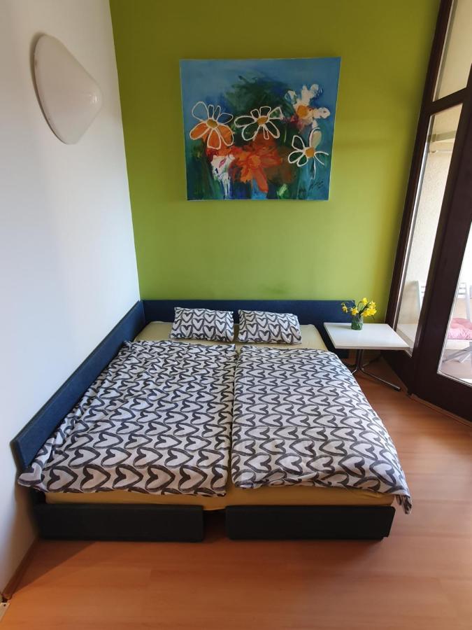 Janja Apartment Novigrad Istria المظهر الخارجي الصورة