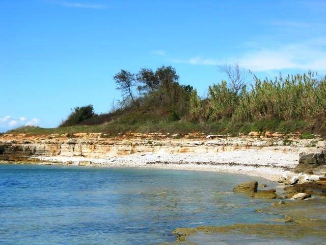 Janja Apartment Novigrad Istria الغرفة الصورة